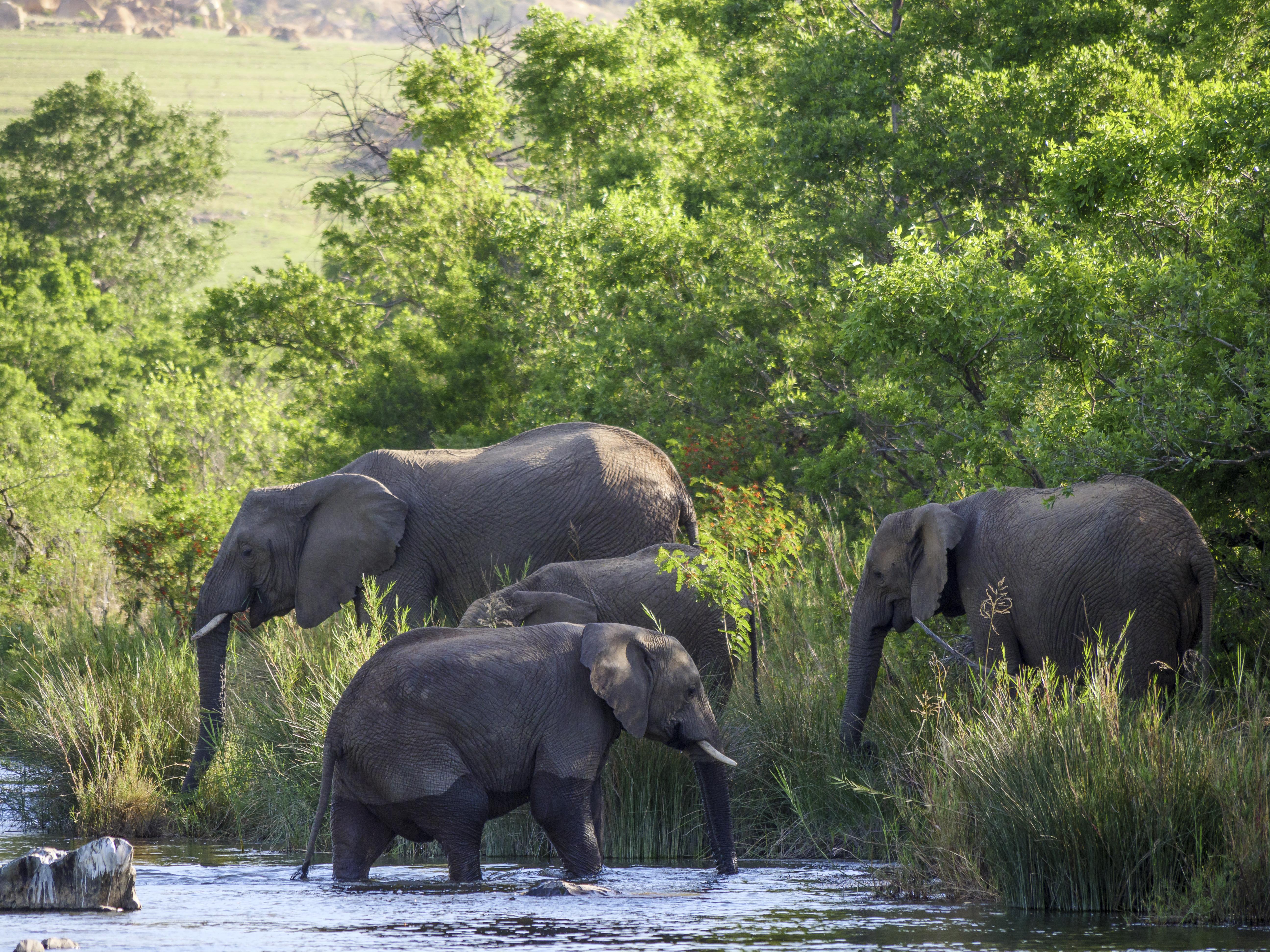 Nkomazi Game Reserve By Newmark Badplaas Exterior foto